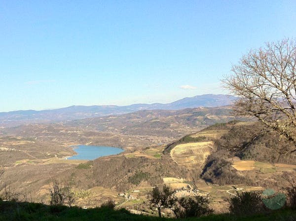 Wine tours in Istria: Motovun wine tour