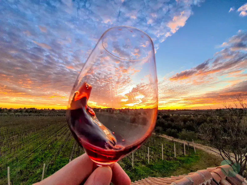 Baraka Winery near Šibenik: Heritage Tasting