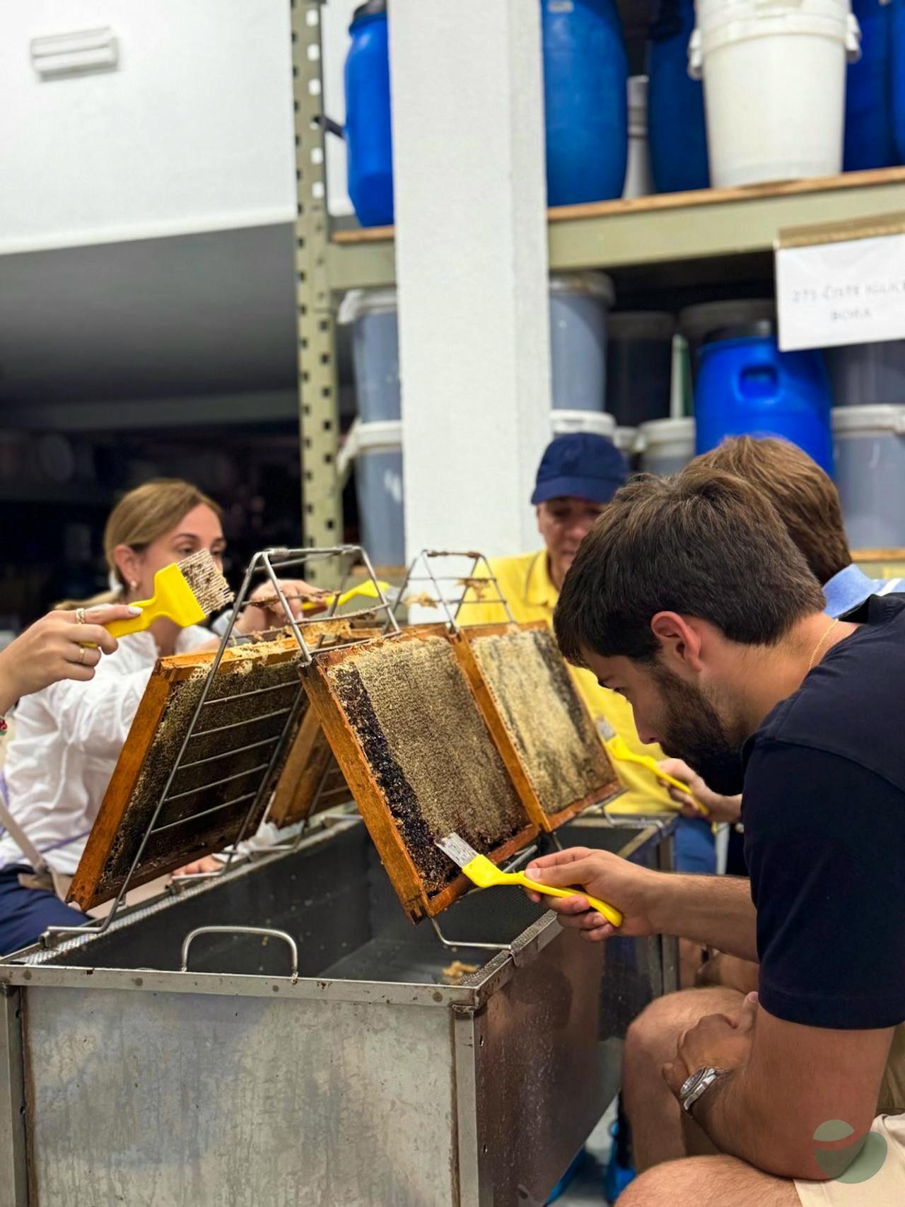 Feel the Buzz – Be a Beekeeper for a Day in Čapljina