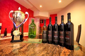 Wine & food pairing in awarded Poljak Winery
