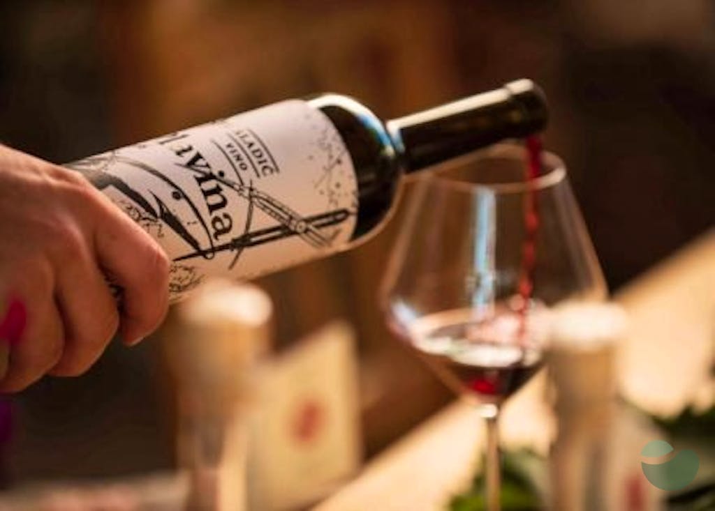 Wines & Bites: Tasting of 5 wines in Ante Sladić Winery