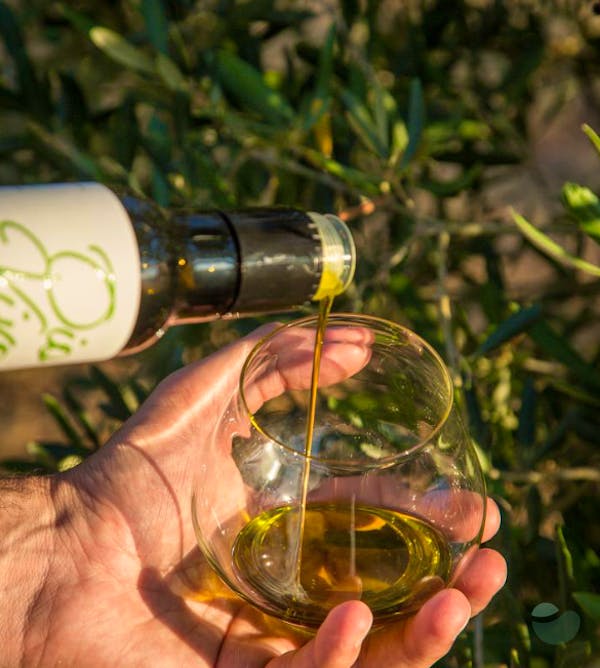 Oio Vivo Olive Oil Tasting and Tour near Pula