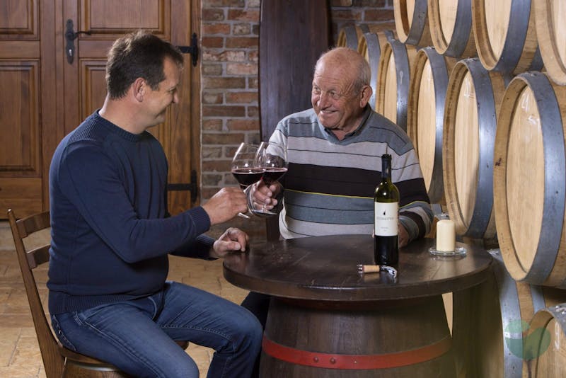 Wine tasting in Cossetto Winery
