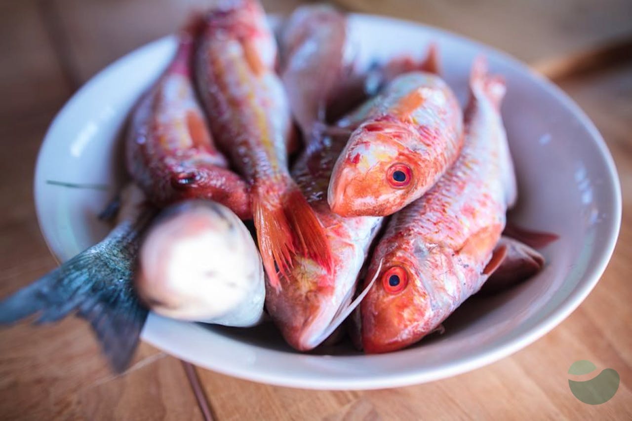 Fish cooking class in Istria - feel the tradition!