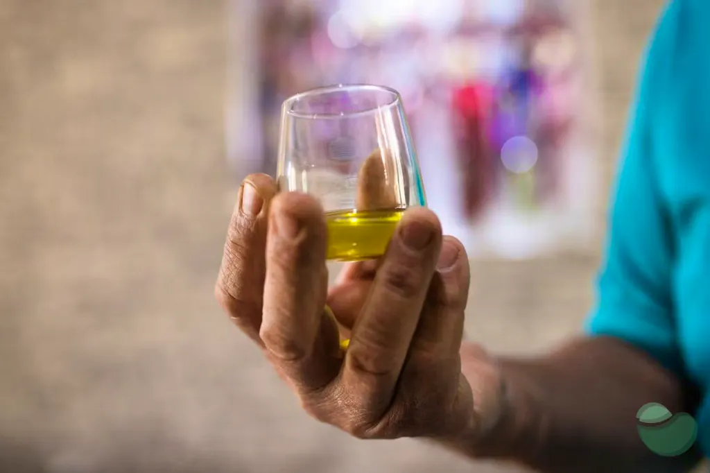 Olive oil & local products tasting in Ljubač - Hotel Pinija