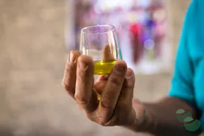Olive oil & local products tasting in Ljubač - Hotel Pinija