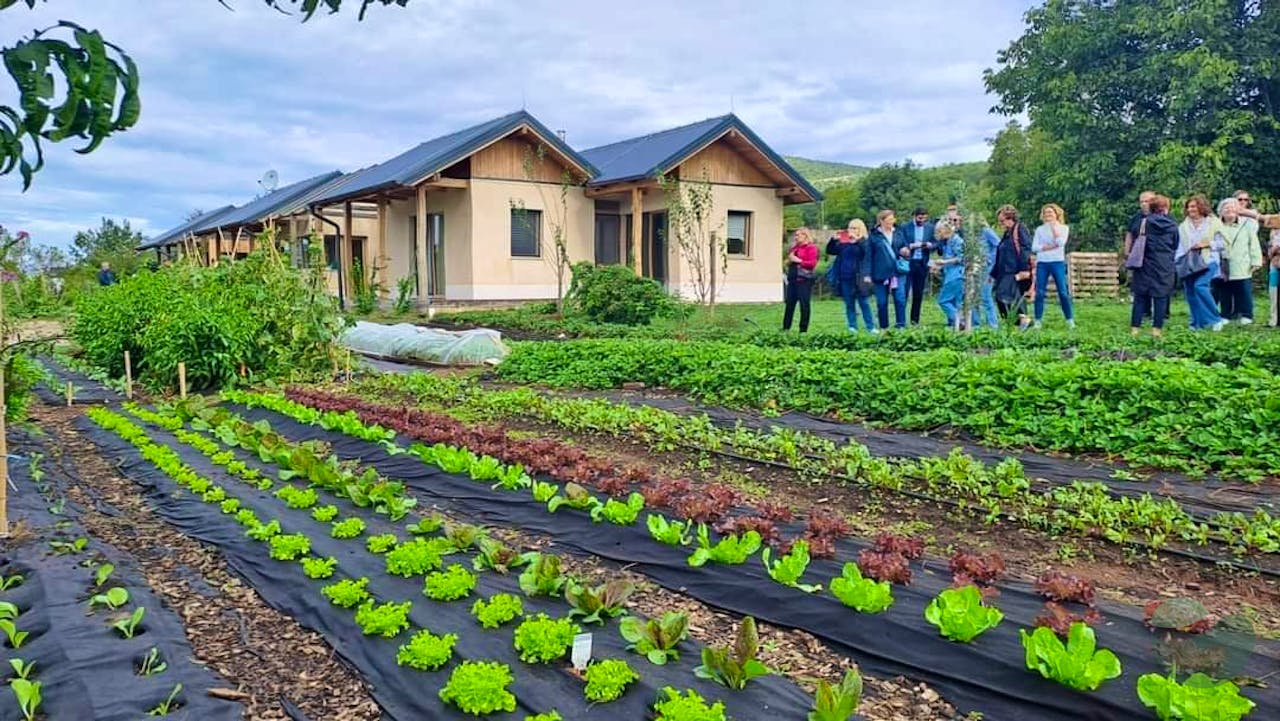 Sustainable Farm Tour near Split: Permaculture Practices