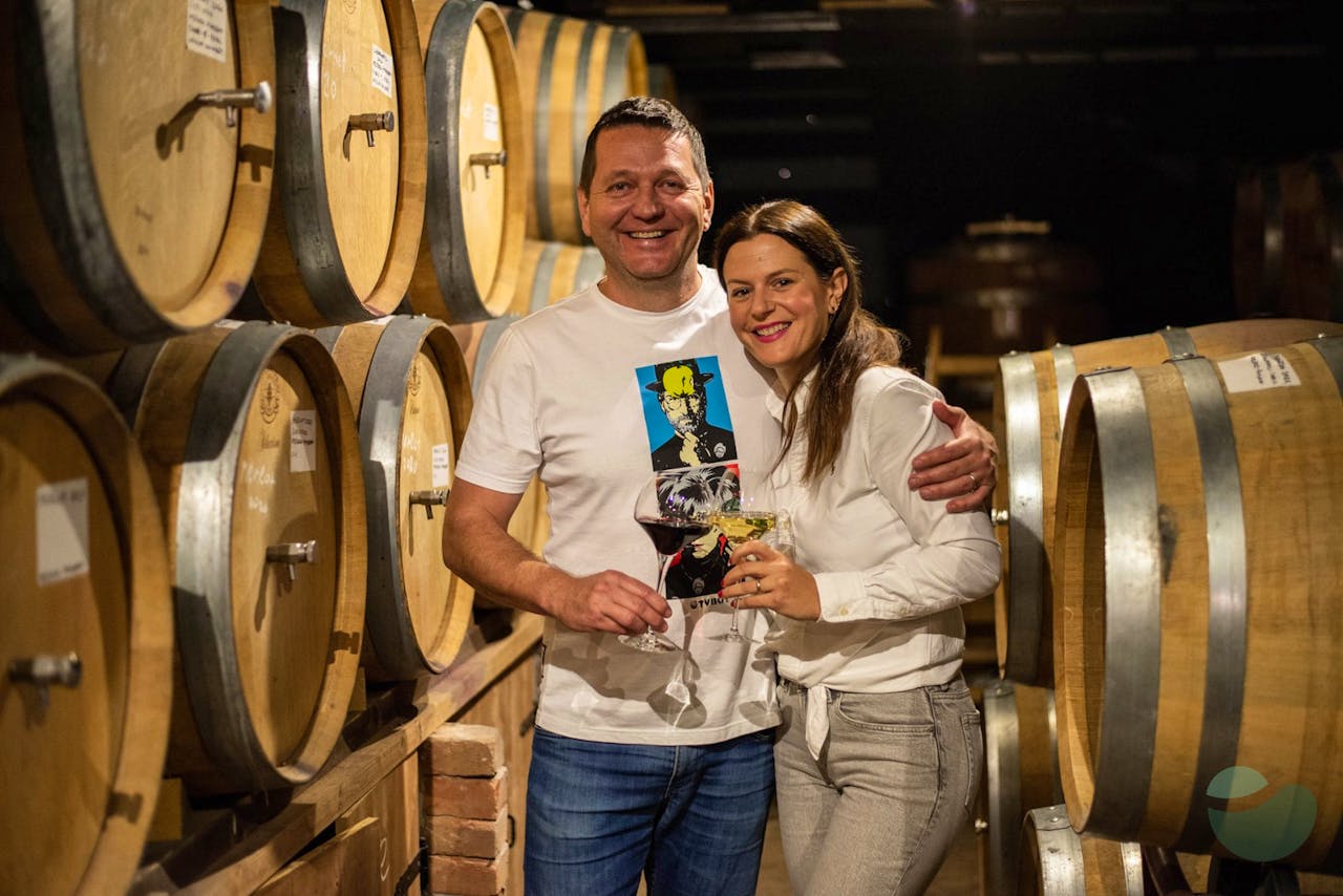 Top quality wines & liqueurs tasting in Fiolić family winery