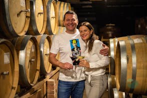 Top quality wines & liqueurs tasting in Fiolić family winery