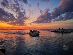 Breathtaking Dolphin and Sunset Tour by Boat in Brijuni