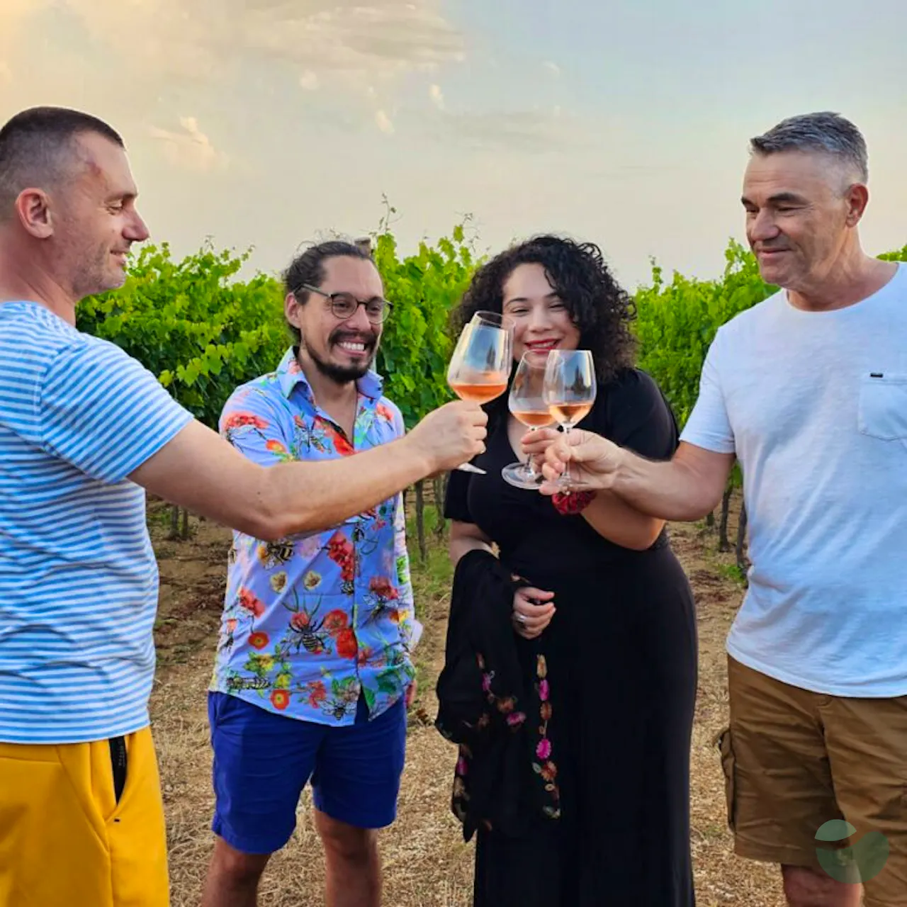 Vinketa Wine Tasting Experience in Nadin near Zadar