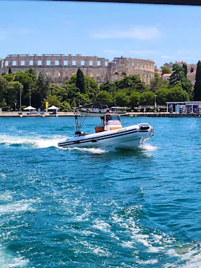 Tiger Marine Proline 620 