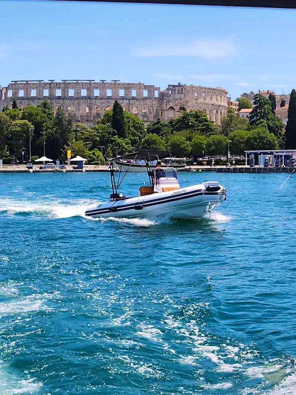 Tiger Marine Proline 620 