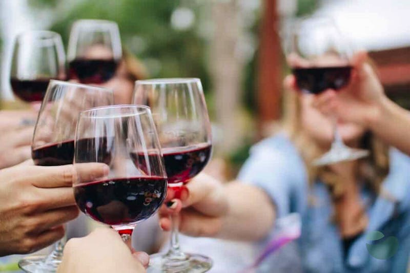 Hvar in a bottle of wine - tasting tour