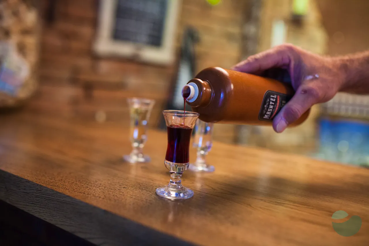Brandy, liqueur & gin tasting in Zaton - Hotel Pinija