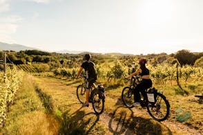 Explore Puccini's Trails & Massaciuccoli Lake on E-bike Tour