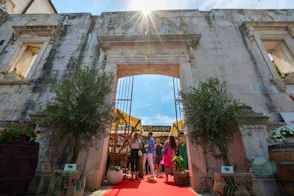 Wine Garden - taste wines from Zadar region - Hotel Pinija